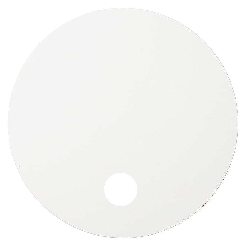 Round 21cm Round 10 Perfect for Making Your Own Fan Fan, White, Plain, Diameter, Shape, Fans, Handmade,