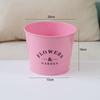 Lilang Large Round Metal Planter Set