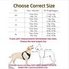 Small Medium Large Dog Harness Strong Harness Vest for Dogs Pet Shop Everything for Dogs Golden Retriever Chihuahua Accessories