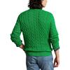 Polo Ralph Lauren Knitwear Standard Men's Green 710918998-024