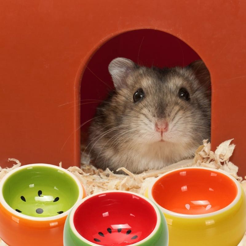 Kleiner Futternapf für Haustiere Hamster Futternapf für Futter Wasser Fütterung Keramikschale Napf Futterspender Igel Fruchtförmiges Geschirr