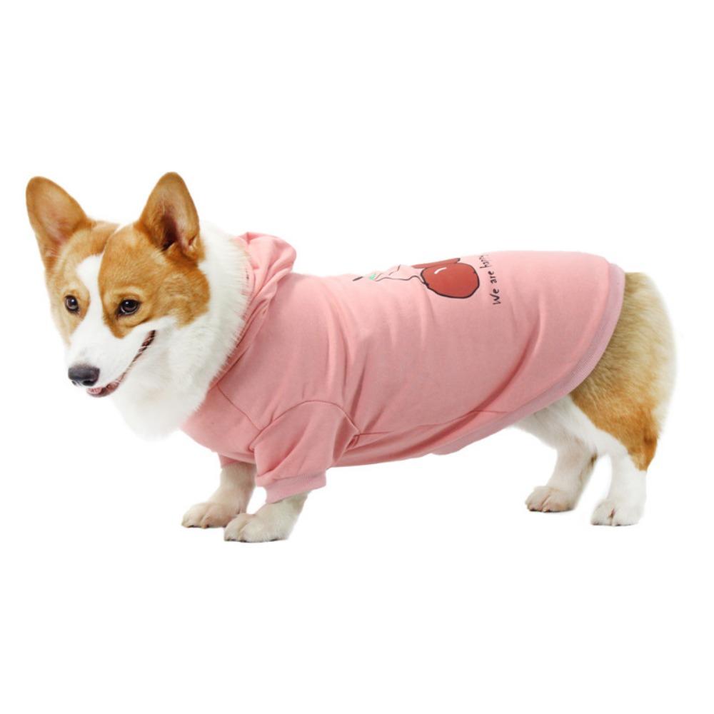Pet it cartoon cotton dog sweater corgi teddy puppy cherry clothes amazon pet clothing