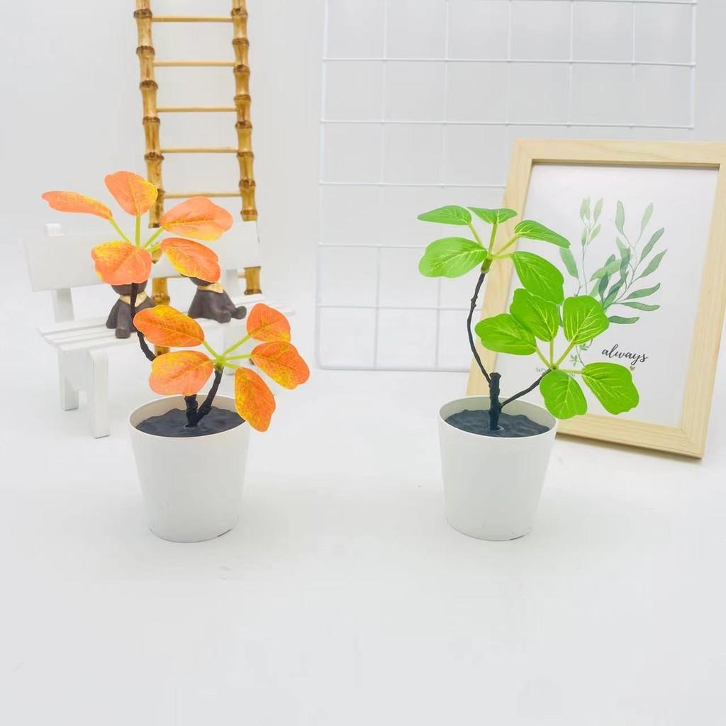 Plant Curved Green Bonsai For Wedding Decor And Photography Decorative Props