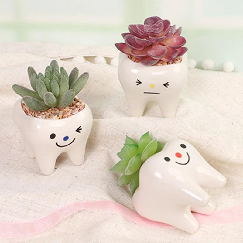 Cute Tooth Flowerpots - Ceramic Garden Pots Planters, Succulent Cactus Vases, Home Garden Decorative Tabletop Plant Pot