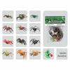 12PCS Mini Mini Dinosaur Action Figure Multicolor Safari Animal Toys Creative Realistic Model  Toy