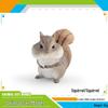 Cross-border Animal Cognitive Simulation Toy: Shiba Inu, Panda, Pig, White Rabbit, White Snake, Hamster Models