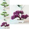 Stunning Bonsai Simulation Artificial Pine Tree Pot Plant For Home And Office Decor