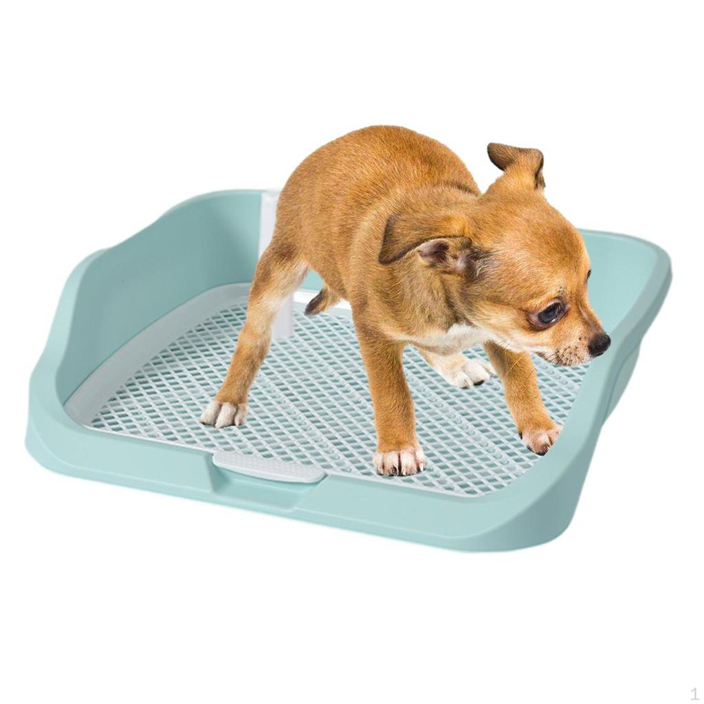Dog Litter Box, Reusable Mesh Potty Tray for , Indoor Puppies in