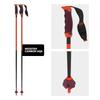 Paieryou Atomic Adult Alpine Ski Poles