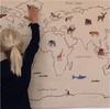 Nordic Animal Embroidery Canvas Tapestry - Children's Room Decor & Photography Props