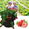 Strawberry Bags For Growing Hangable Tomato Planter 5 Gallon Breathable Felt Plant Grow Container For Garden Strawberries