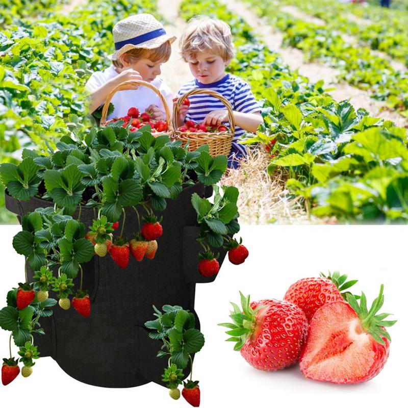 Strawberry Bags For Growing Hangable Tomato Planter 5 Gallon Breathable Felt Plant Grow Container For Garden Strawberries