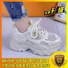 Sneakers Internet Celebrities with the Same Platform Dad Shoes Women's 2025 Autumn New Lace-up Casual Shoes Single Shoes Increase 6cm