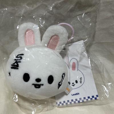 [USED] StrayKids KARMA Korean Pop-Up Leavitt Name Tag