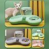 Double Pet Bowl Automatic Water Dispenser Washable Bowl Non-slip Dogs Eat Bowl