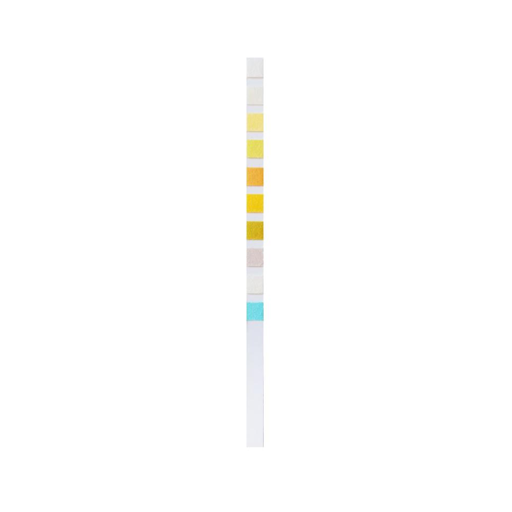 Urs Home Urine Test 10 Parameters 2 Pcs (1 Pack)