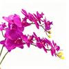 1Pcs 9-Head Flowers 38inch Artificial Butterfly Orchid Bouquet Artificial Flowers for Wedding Decoration Home Garden Room Decor