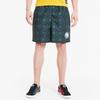 X The Hundreds Casual Shorts Men's Green Moderate 596752-02