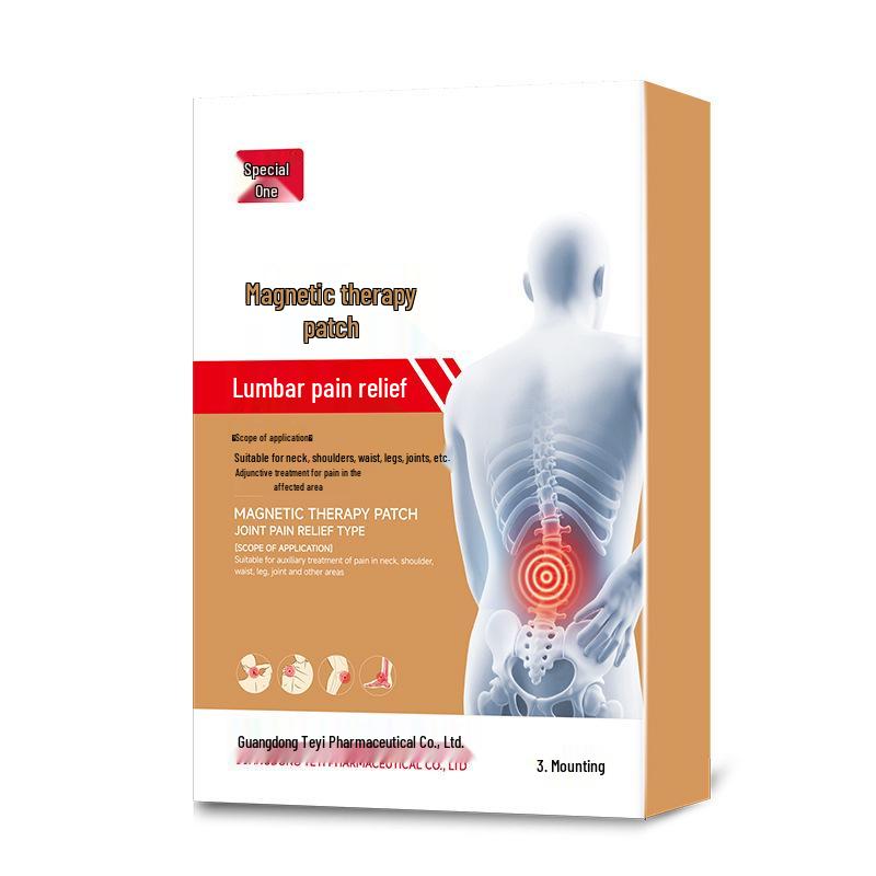 Te Yi Magnetfeldtherapie-Pflaster zur Linderung von Gelenkschmerzen, Lenden- und Schulterschmerzen, Verstauchungen, Prellungen, als unterstützende Behandlung