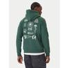 Quiksilver Salt Water Graphic Hoodie
