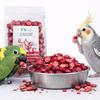 Crispy Freeze-Dried Cranberry For Parrots - Natural Fruit Treat | 20 G