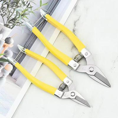 Stainless Steel Pruning Shears for Fruit, Floral Art, and Landscaping