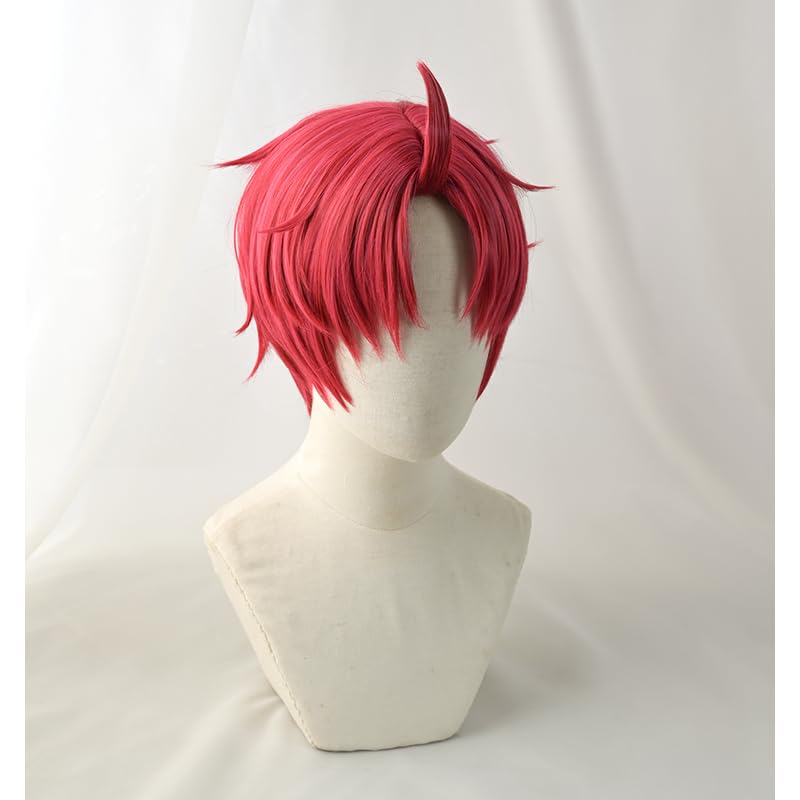 SUNXXCOS Dandadan Cosplay Wig Heat Resistant Wig Costume Accessory (Enjoji Jin)