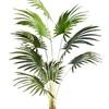 Artificial Fan Palm and Bamboo Floor-Standing Garden Decoration for Photography