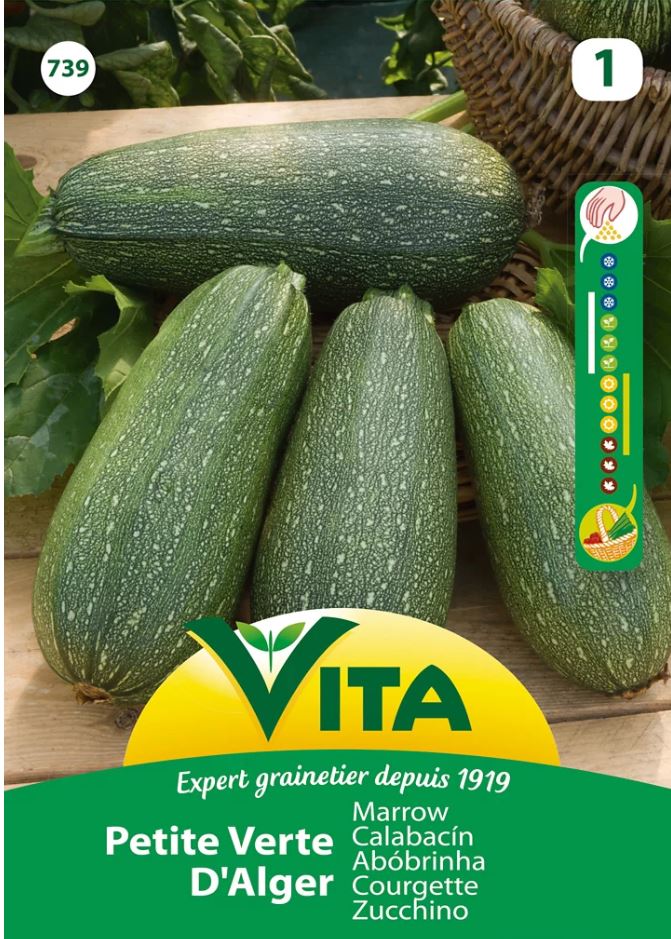 Petites graines de courge d'Alger