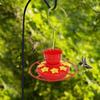 Plastic Bird Food Bowl Leak-proof Hanging Feeder Bowls Hummingbird Feeder  Outdoor Use