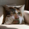 Federa Cuscino Meme N-Nicholas C-Cage Per 55x55cm 30x30cm 50x50cm 45x45cm 40x40cm Quadrata Federa Cuscino Sedia