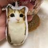 Cute Cat Ornament Meow Voice-Activated Plush Keychain Talking Stuffed Animal Interactive Pendant for Bags Backpacks Funny Gift Kids Students