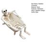 Skeleton Flower Pot Resin Skeleton in Home Decor Planter for Plant Pot Gothic Succulents Halloween