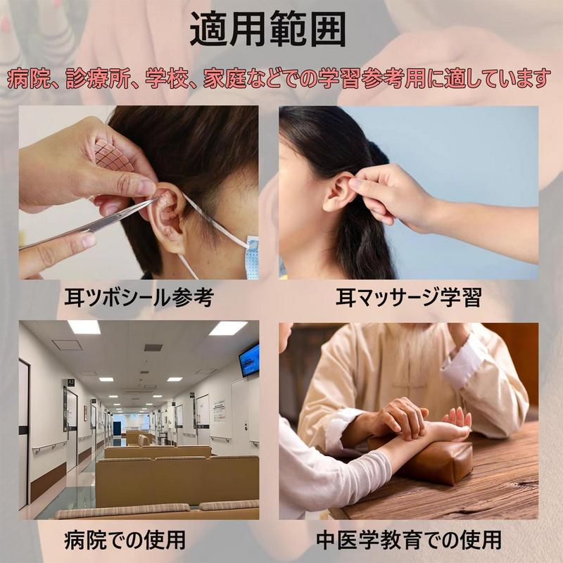 Model Zonă Reflexă Ureche Model de Afișare Anatomie Ureche Zonă Reflexă Recuzită pentru Prelegeri în Clasă Școlară Ajutor Didactic pentru Începători Până la Profesioniști