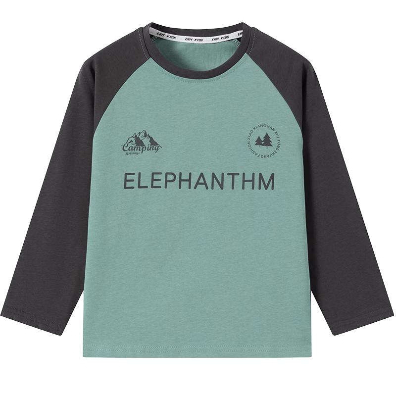 Little Elephant Hamm Boys Cotton Panelled Long-Sleeve T-Shirt 120 cm мятный зеленый