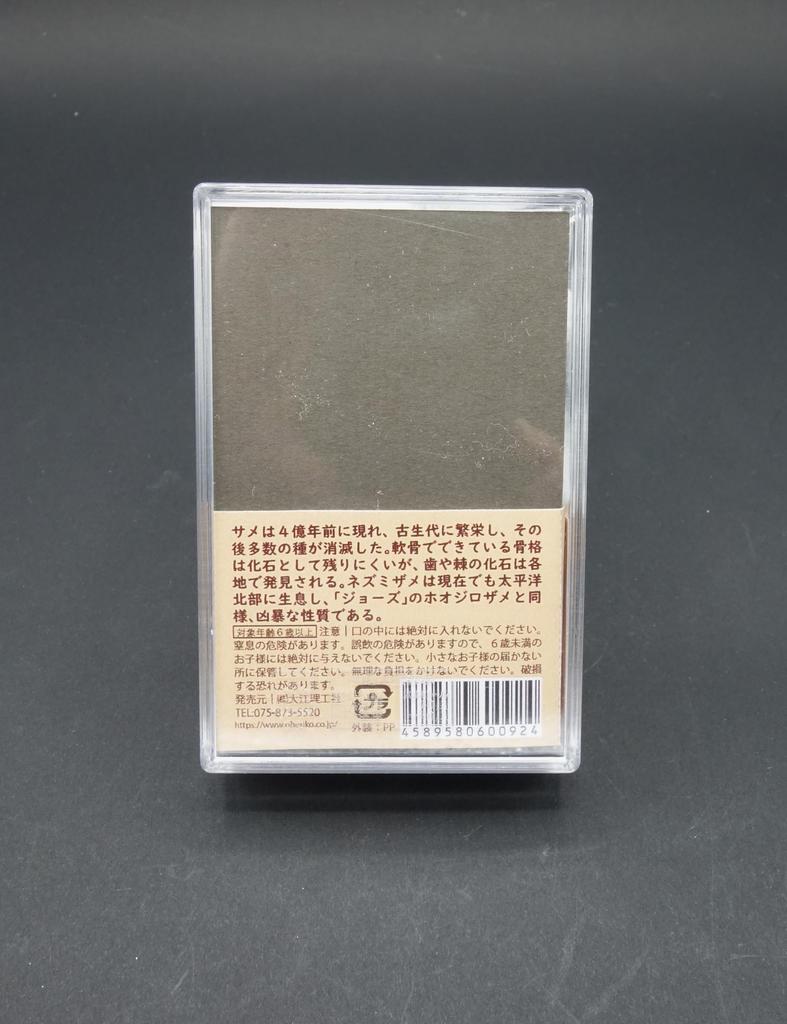 Oherikosha Fossil Shark Tooth in Styrofoam Case
