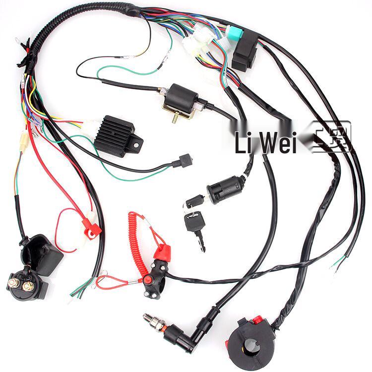 Off-Road ATV & Beach Buggy Electrical Wiring Harness 50-110cc Ignition System Beach Buggy