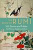 The Book of Rumi by Rumi Paperback Book 9781571747464