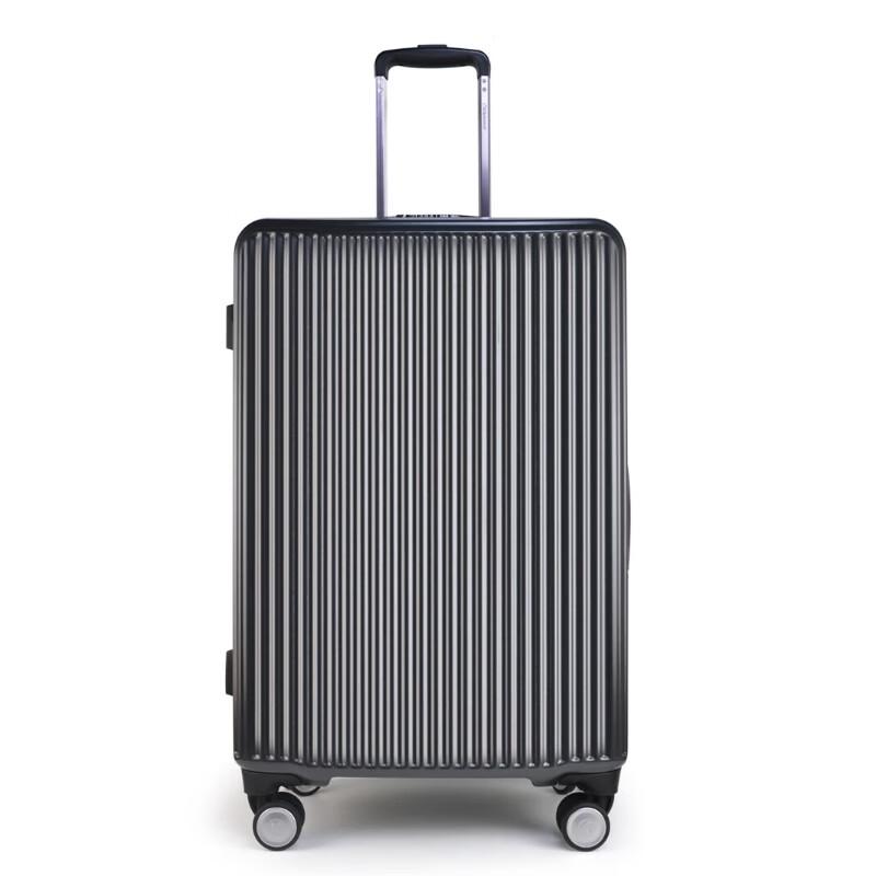 Diplomat DS-13109 24-inch Business Travel Luggage