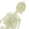 Glowing In The Dark Halloween Skeleton Decor Luminous Lifelike Skeleton Model for Front Lawn