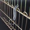 Durable Metal Spring Lock Telescopic Spring Tension Spring Rabbit Cage Door Hook With Hook Extension Spring Metal Spring Lock
