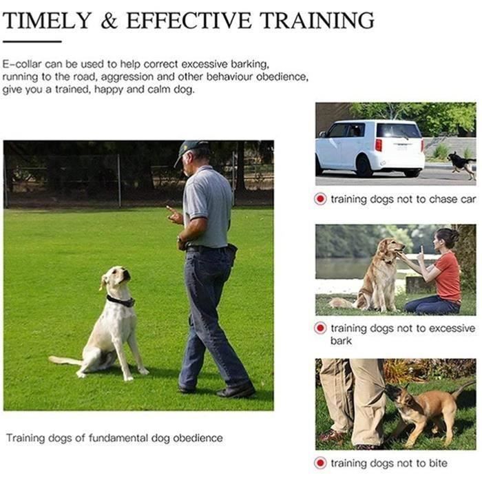 Anti-bark Collar - LPNOVE - 800m - 99 Levels - Rechargeable - Rain Resistant