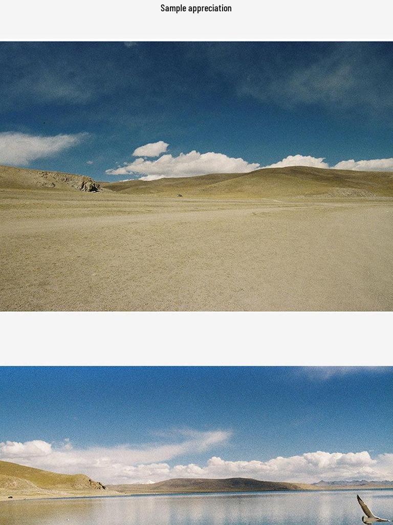 Kodak Gold 200 Color Negative Film 135 