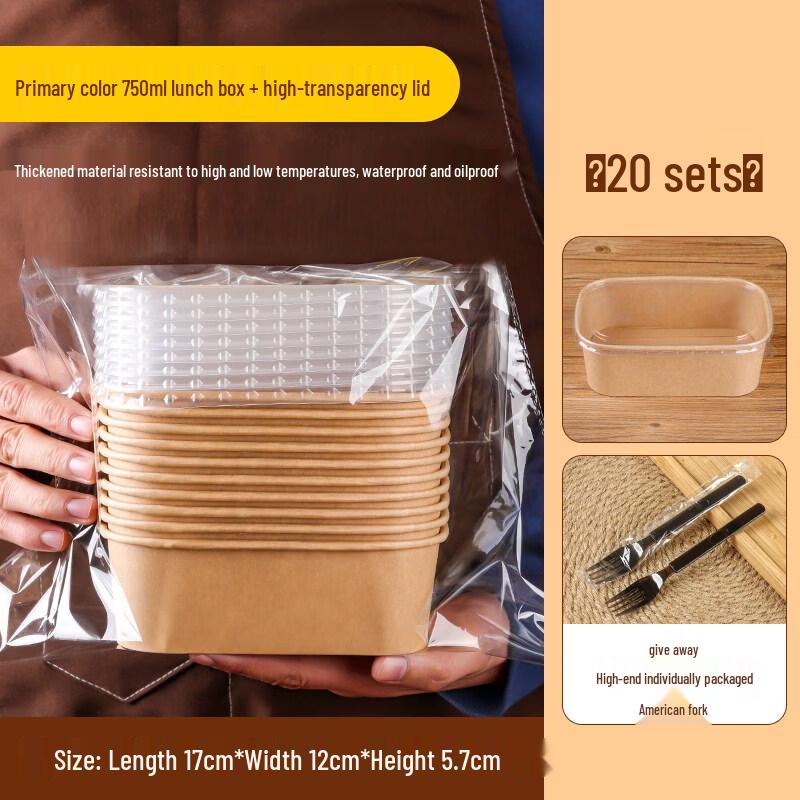 Disposable Paper Picnic Bento Box