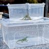 Ventilated Turtle Transport Container Stackable Reptile Terrarium  Crawling Pet