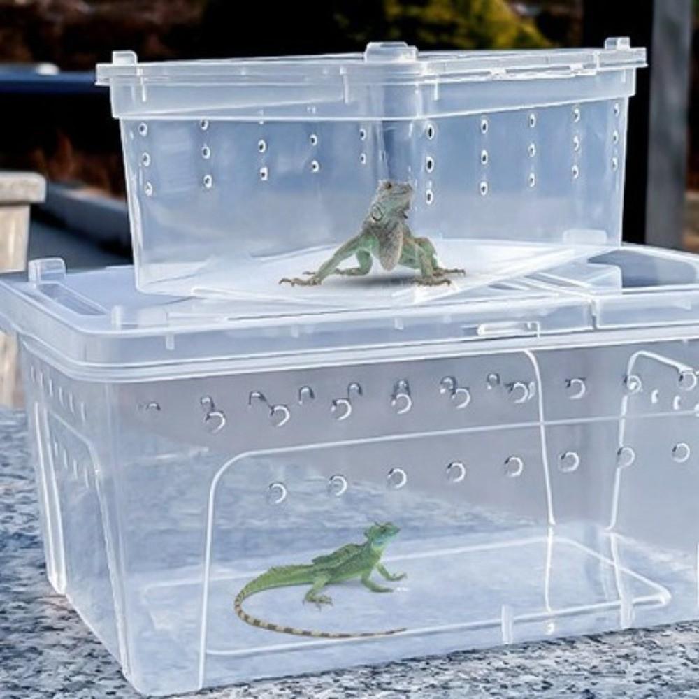 Ventilated Turtle Transport Container Stackable Reptile Terrarium  Crawling Pet