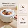 Bear Multi-functional Electric Cooking Pot and Steamer