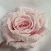 Rose Premium Silk Bouquet For Wedding Ceremony And Event Decoration Fashion