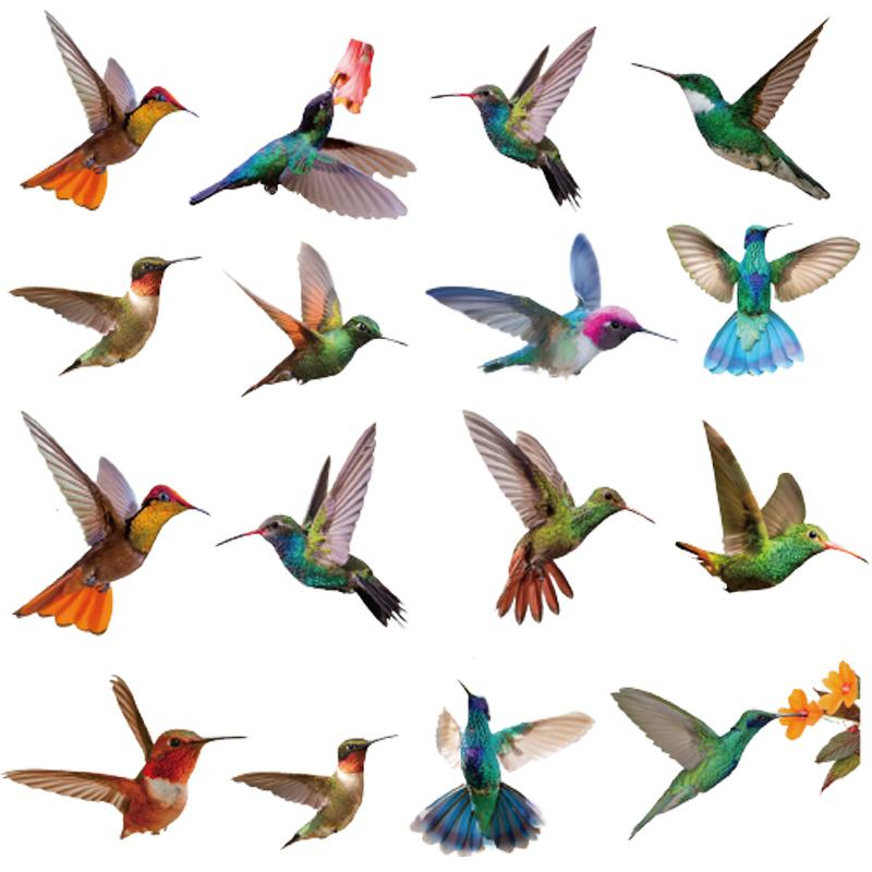 9 große, schöne Kolibri-Fensteraufkleber – Kolibri-Antikollisions-Vogelschlag-Fensteraufkleber – doppelseitige, statisch haftende Fensteraufkleber