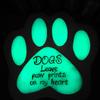 Garden Stepping Stone Glow-in-The-Dark Butterfly Insect Resin Garden Stone Moon Sun Star Stepping Stone for Patio Lawn